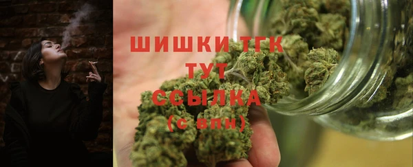 стаф Дмитровск