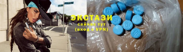 стаф Дмитровск