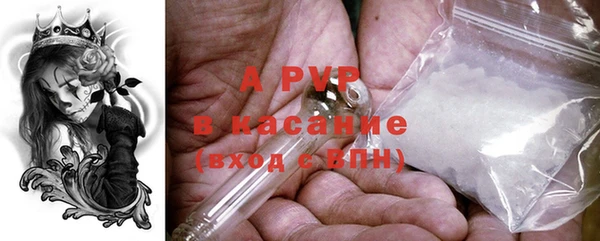 стаф Дмитровск