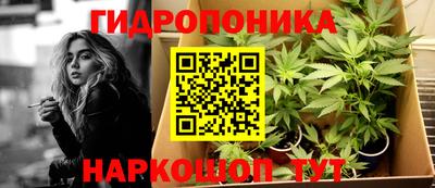 стаф Абакан