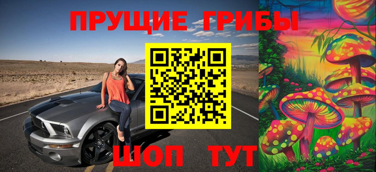Галлюциногенные грибы мухоморы Абакан